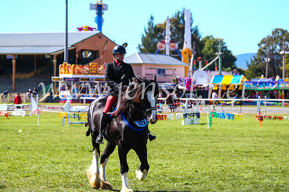 BathurstShow2017Fri_0437