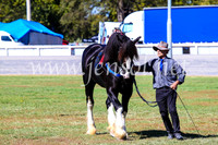 BathurstShow2017Fri_0378