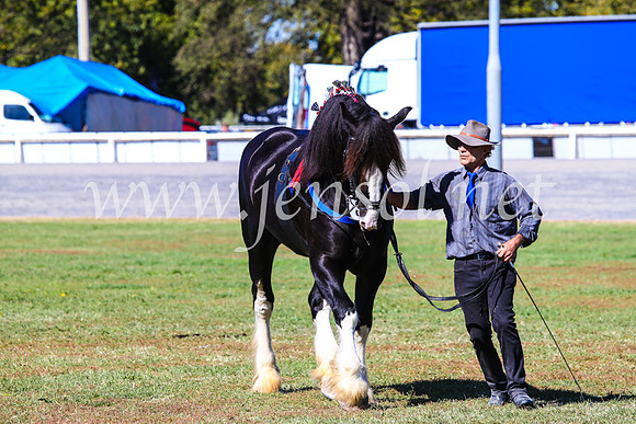 BathurstShow2017Fri_0378
