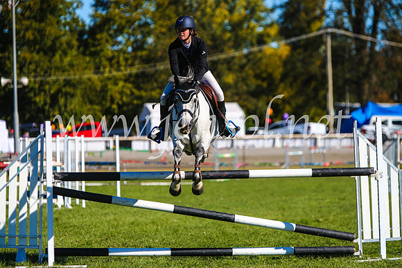 BathurstShow2017Sat_2692