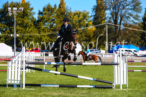 BathurstShow2017Sat_2681