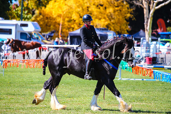 BathurstShow2017Fri_0405