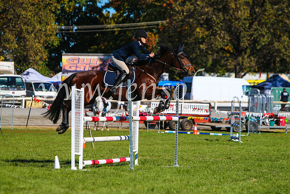 BathurstShow2017Sat_2666