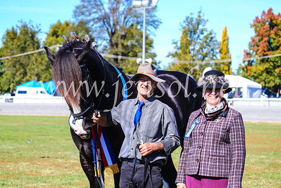 BathurstShow2017Fri_0392