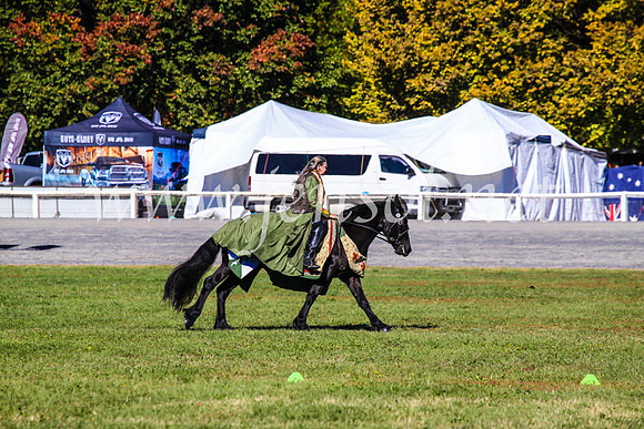 BathurstShow2017Fri_0303