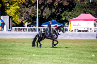 BathurstShow2017Fri_0052