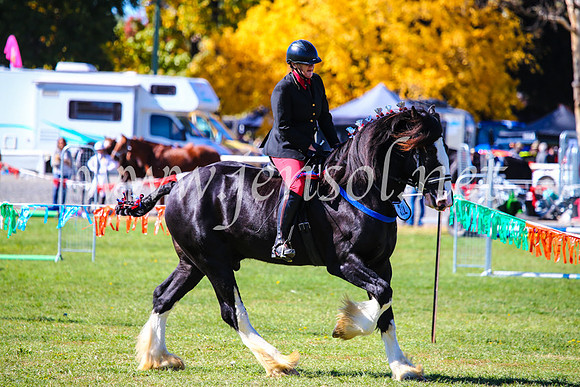 BathurstShow2017Fri_0404