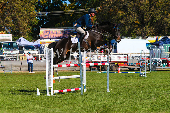 BathurstShow2017Sat_2655