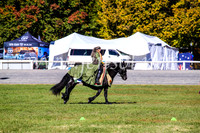 BathurstShow2017Fri_0302