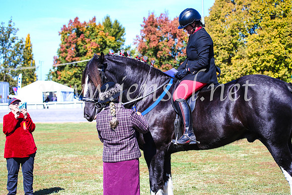 BathurstShow2017Fri_0442