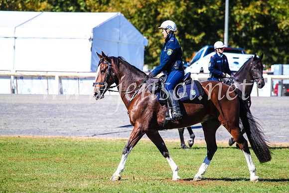 BathurstShow2017Fri_0402