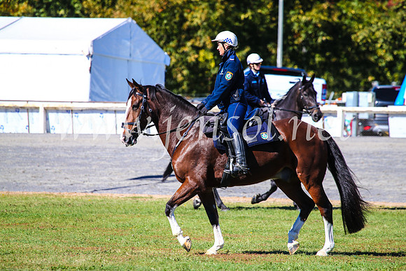 BathurstShow2017Fri_0403