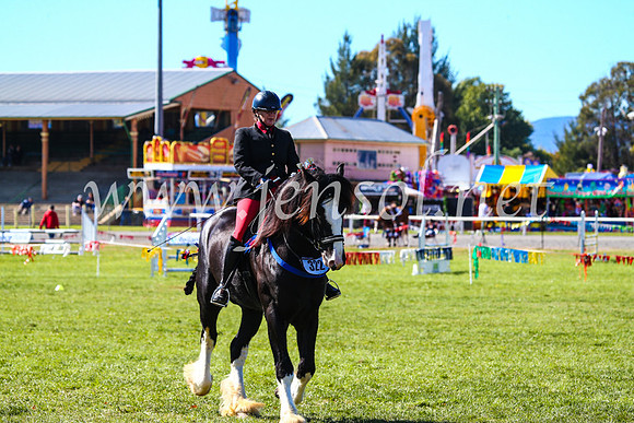 BathurstShow2017Fri_0436