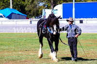 BathurstShow2017Fri_0380