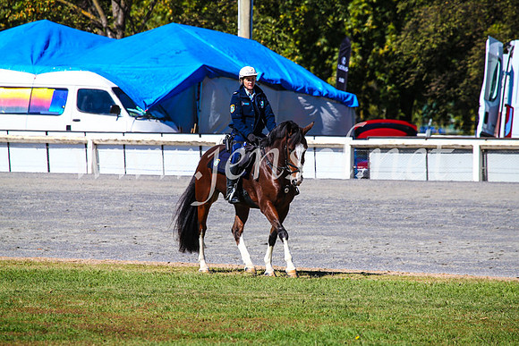 BathurstShow2017Fri_0398