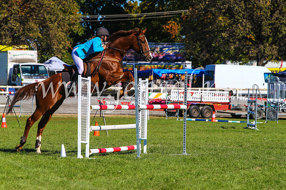 BathurstShow2017Sat_2721