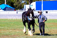BathurstShow2017Fri_0379