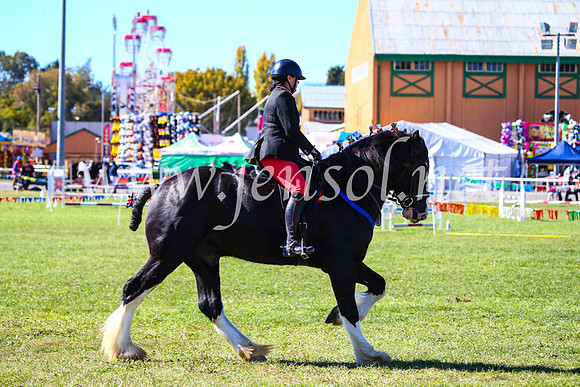 BathurstShow2017Fri_0431