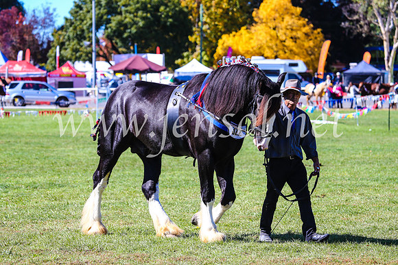 BathurstShow2017Fri_0386