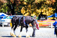BathurstShow2017Fri_0283