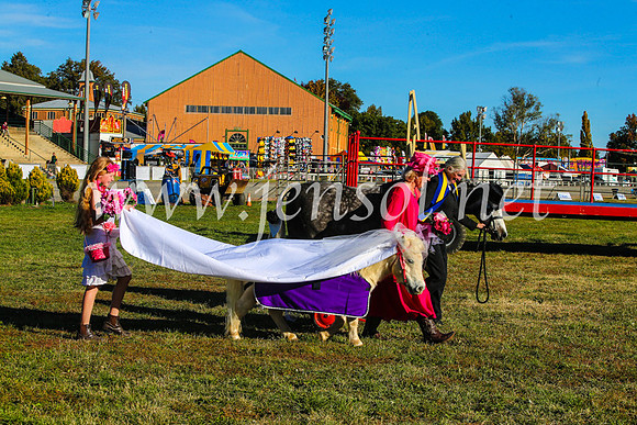 BathurstShow2017Fri_1056