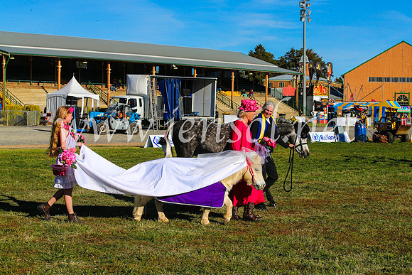 BathurstShow2017Fri_1053