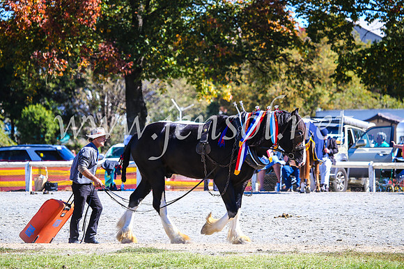 BathurstShow2017Fri_0622