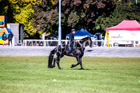 BathurstShow2017Fri_0053