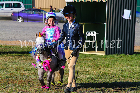 BathurstShow2017Fri_1030