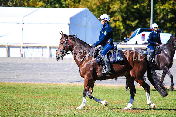 BathurstShow2017Fri_0400