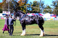 BathurstShow2017Fri_0383