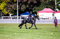 BathurstShow2017Fri_0057