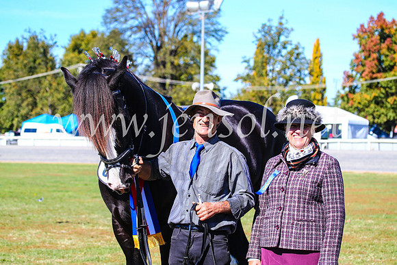 BathurstShow2017Fri_0391