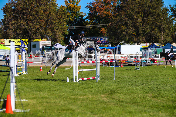 BathurstShow2017Sat_2691