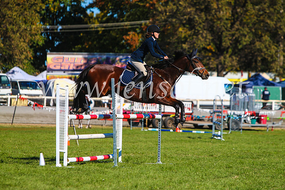 BathurstShow2017Sat_2669