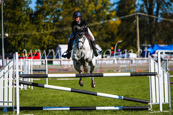 BathurstShow2017Sat_2698