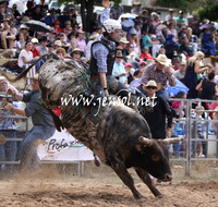 TaralgaRodeo2013KJS_0271_edited-1