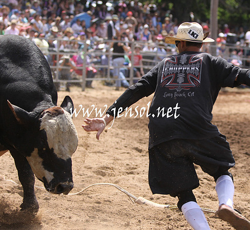 TaralgaRodeo2013KJS_0286_edited-1