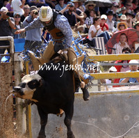 TaralgaRodeo2013KJS_0279_edited-1