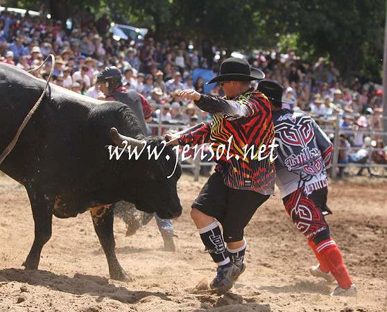 TaralgaRodeo2013KJS_0301_edited-1