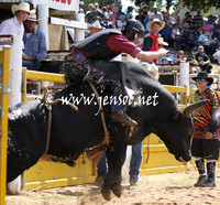 TaralgaRodeo2013KJS_0296_edited-1