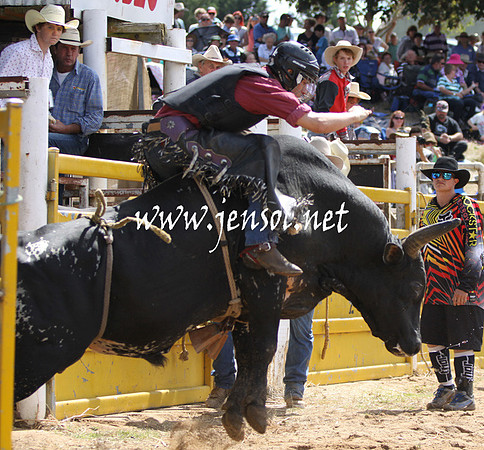 TaralgaRodeo2013KJS_0296_edited-1
