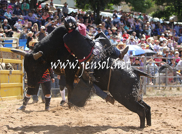 TaralgaRodeo2013KJS_0297_edited-1