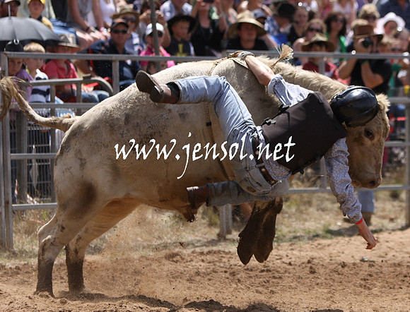 TaralgaRodeo2013KJS_0233_edited-1
