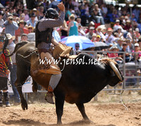 TaralgaRodeo2013KJS_0291_edited-1