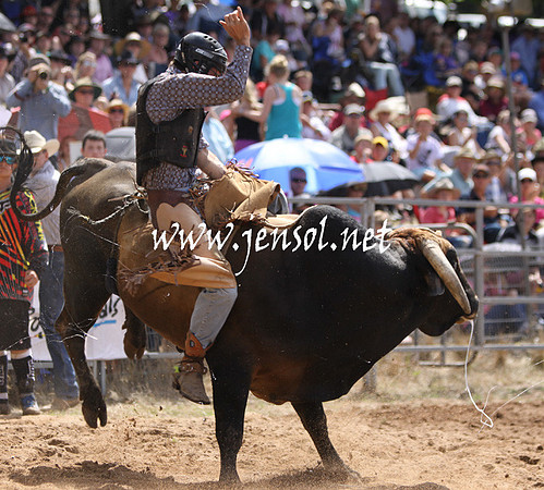 TaralgaRodeo2013KJS_0291_edited-1