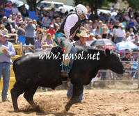 TaralgaRodeo2013KJS_0215_edited-1