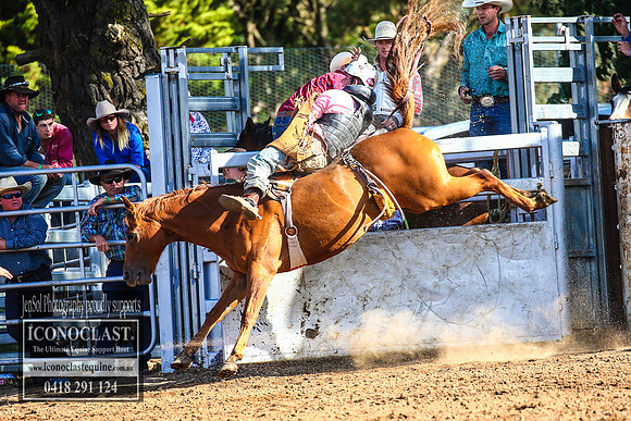 TaralgaRodeo2018_7465