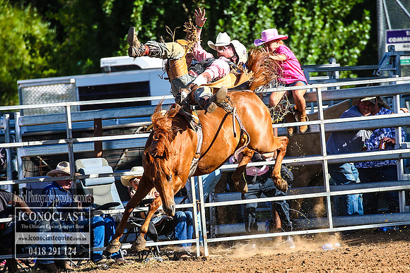 TaralgaRodeo2018_7480