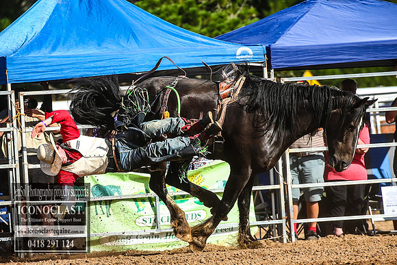 TaralgaRodeo2018_7666